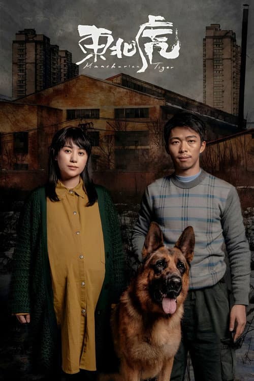 东北虎 afişi