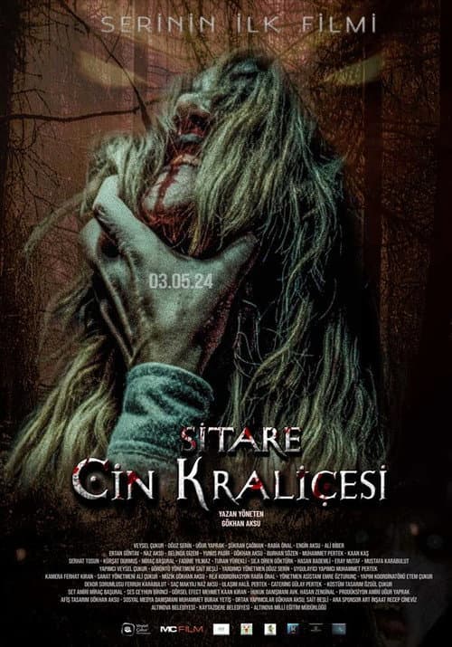 Sitare: Cin Kraliçesi afişi