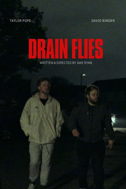 Drain Flies afişi