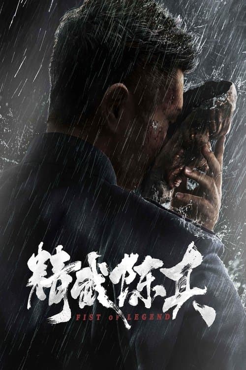 精武陈真 afişi