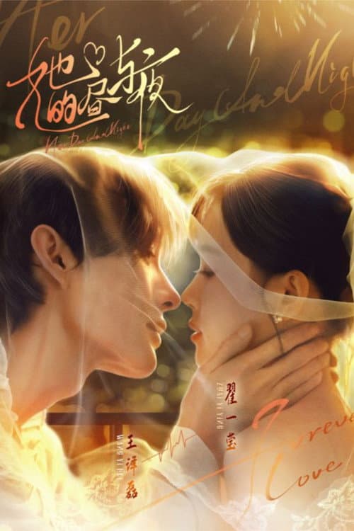 她的昼与夜 afişi