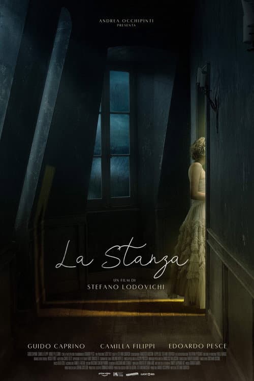 La stanza afişi