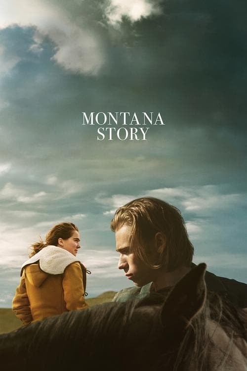 Montana Story afişi