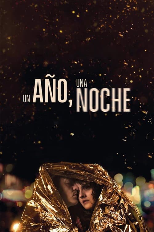 Un año, una noche afişi