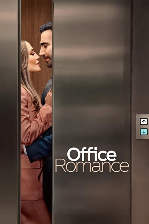 Ofis Aşkı afişi