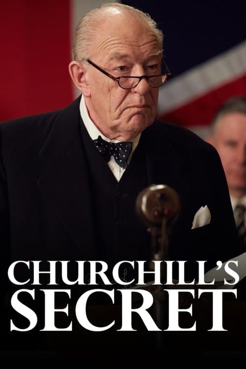 Churchill's Secret afişi