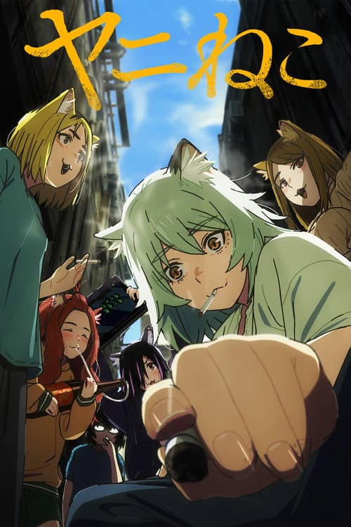ヤニねこ afişi