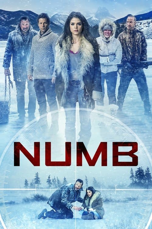 Numb afişi