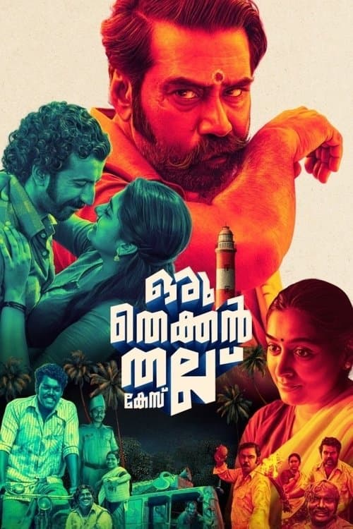 ഒരു തെക്കൻ തല്ല് കേസ് afişi
