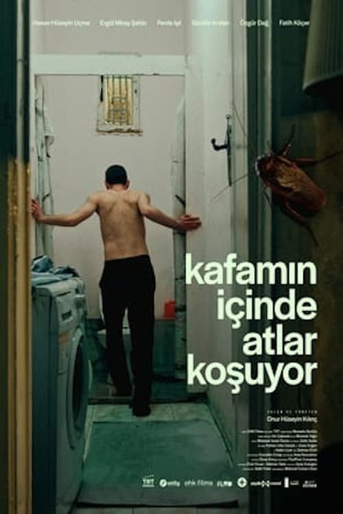 Kafamın İçinde Atlar Koşuyor afişi
