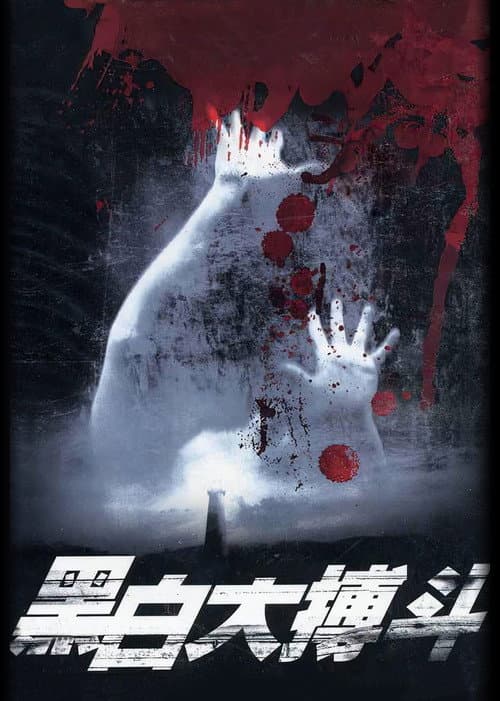 黑白大搏斗 afişi
