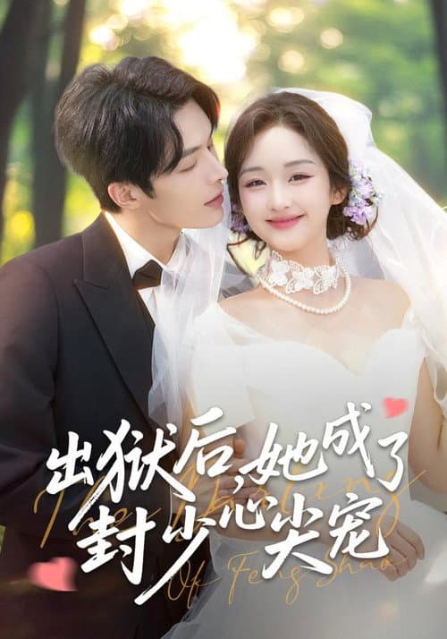 出狱后，她成了封少心尖宠 afişi