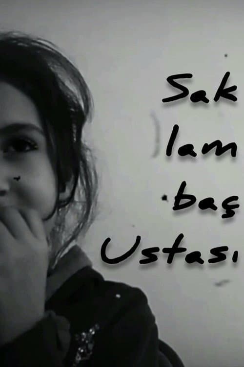 Saklambaç Ustası afişi