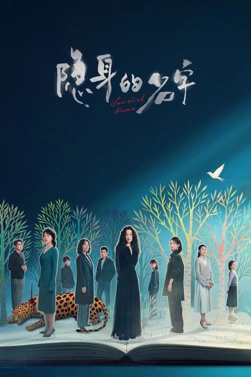 隐身的名字 afişi
