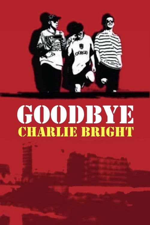 Goodbye Charlie Bright afişi