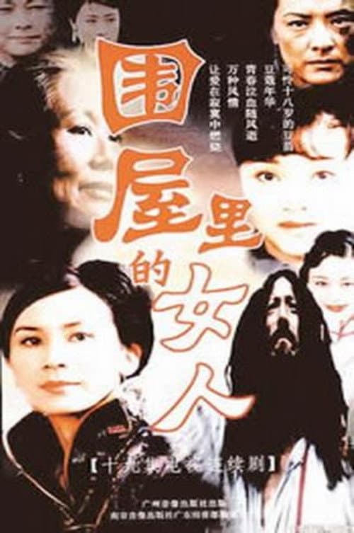 围屋里的女人 afişi