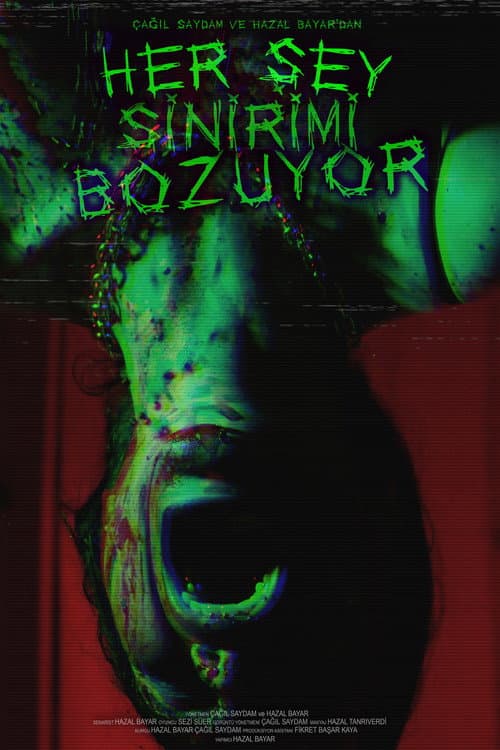 Her Şey Sinirimi Bozuyor afişi