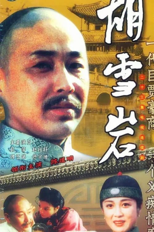 胡雪岩 afişi