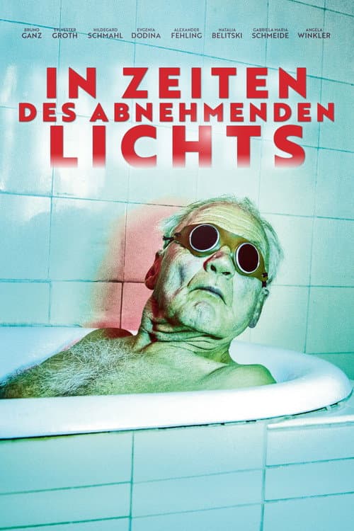 In Zeiten des abnehmenden Lichts afişi