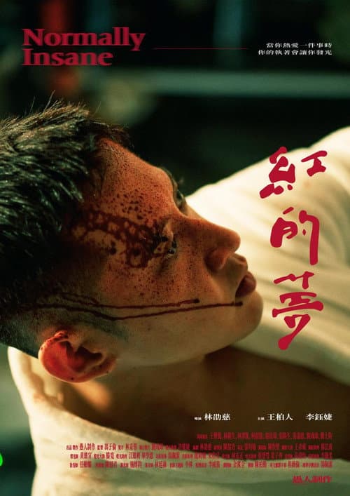 紅的夢 afişi