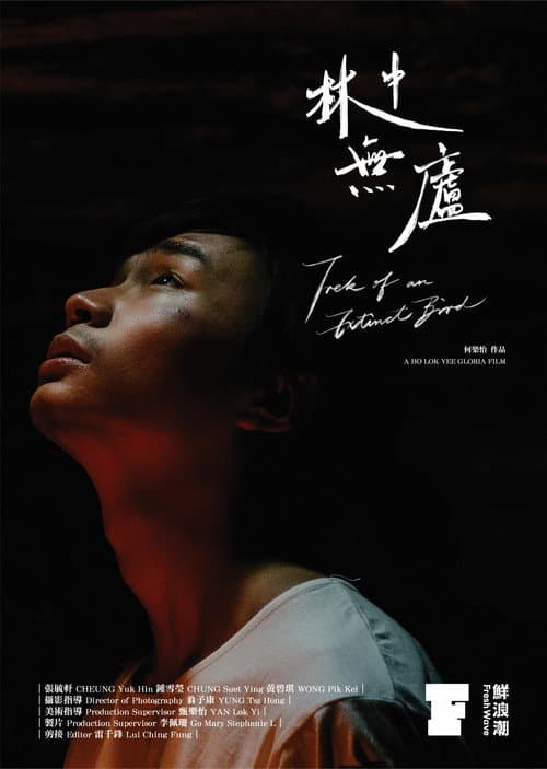 林中無廬 afişi