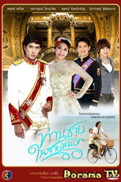 ท่านชายในสายหมอก afişi