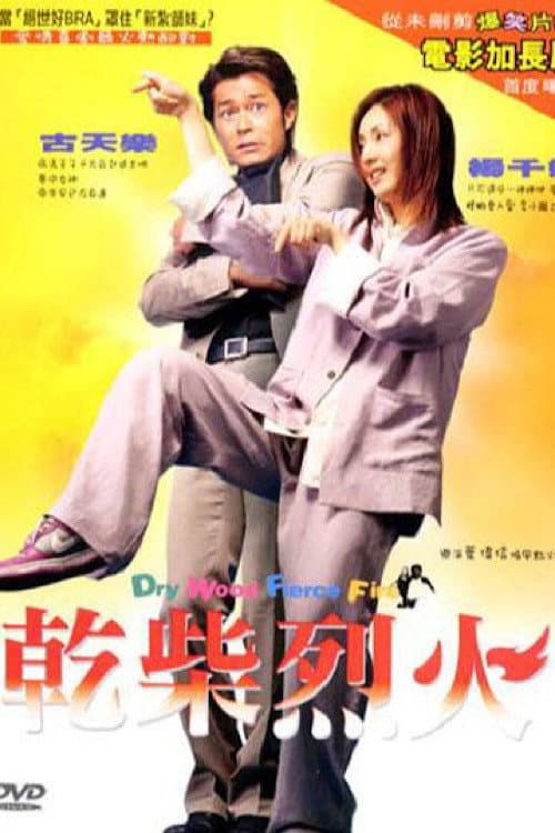 乾柴烈火 afişi