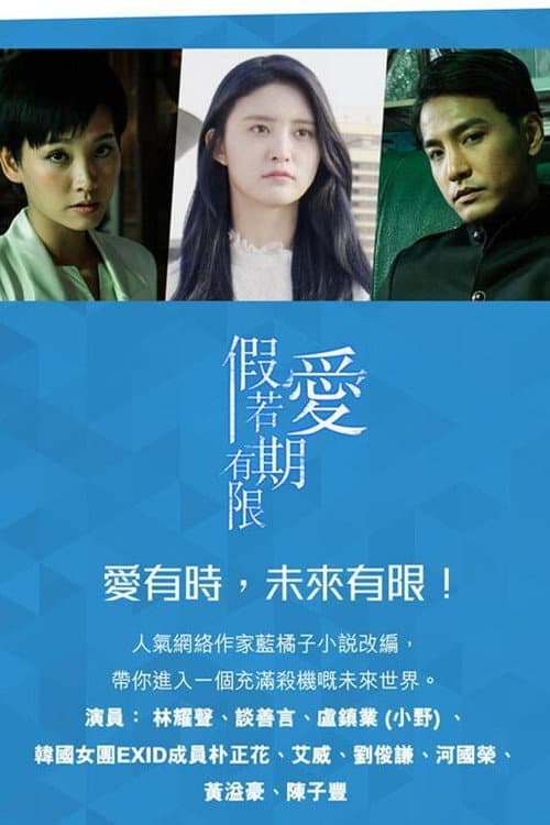 假若愛有期限 afişi