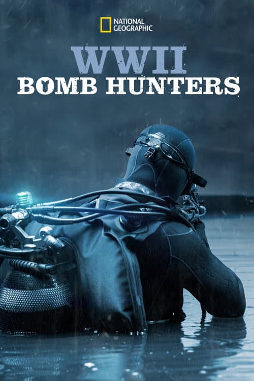 WWII Bomb Hunters afişi