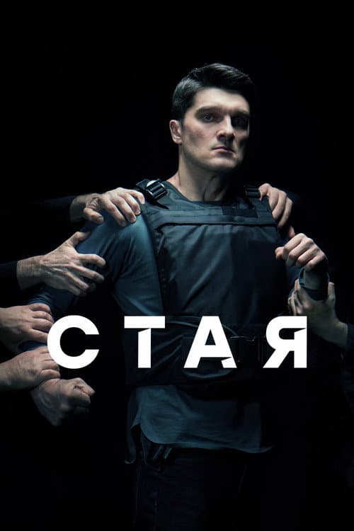 Стая afişi