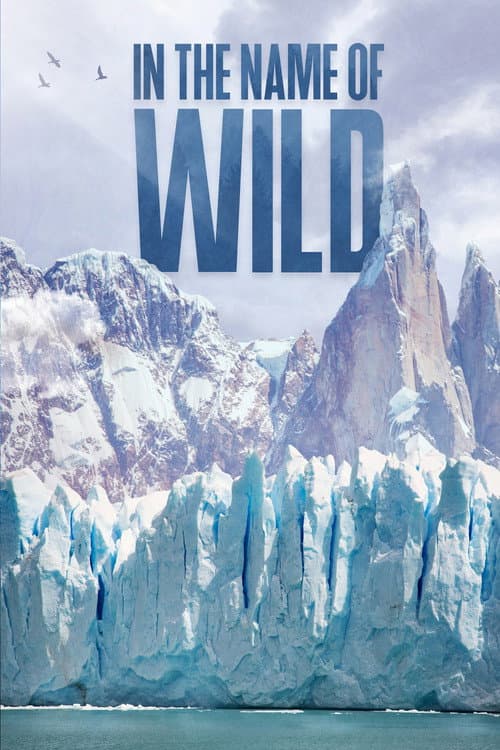 In the Name of Wild afişi
