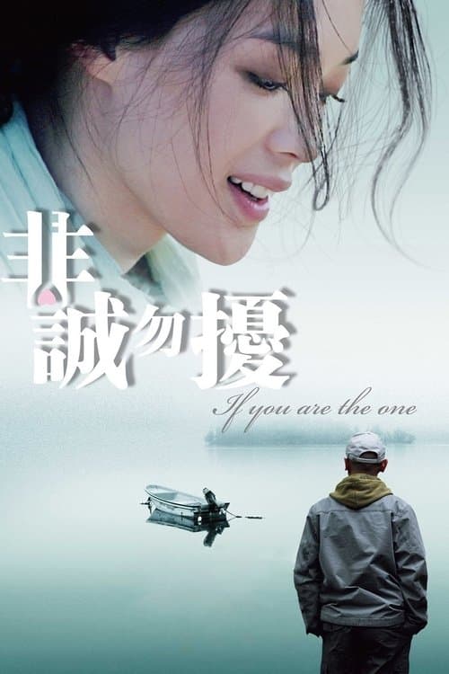 非诚勿扰 afişi