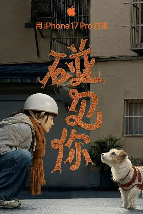 碰见你 afişi