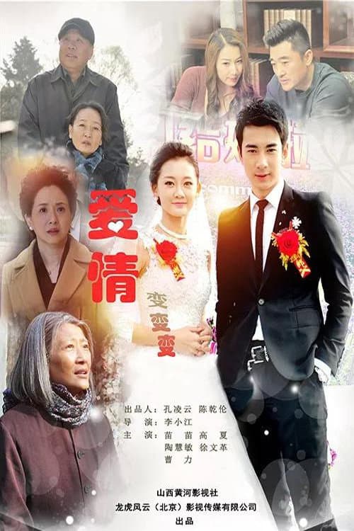 爱情变变变 afişi