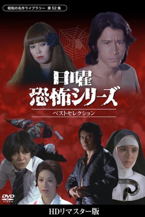 日曜恐怖シリーズ　ベストセレクション afişi