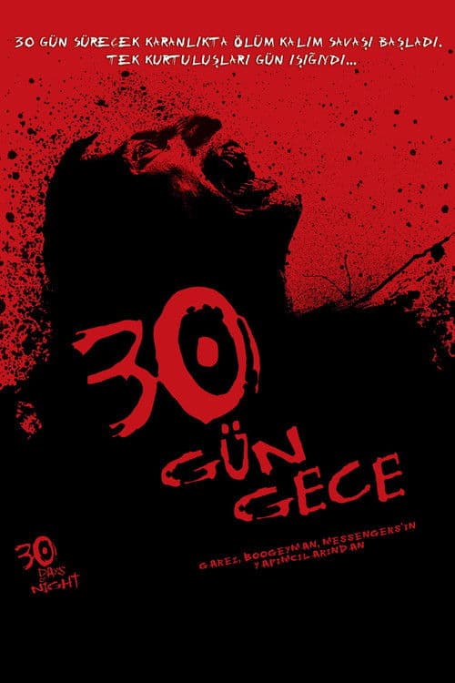30 Gün Gece afişi