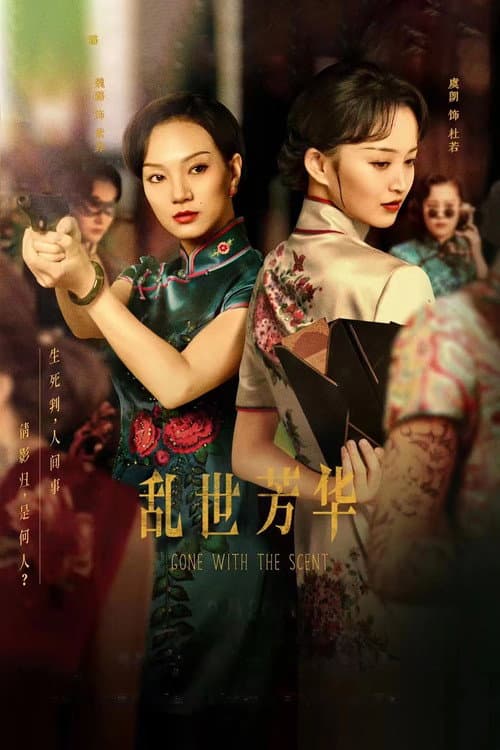 乱世芳华 afişi