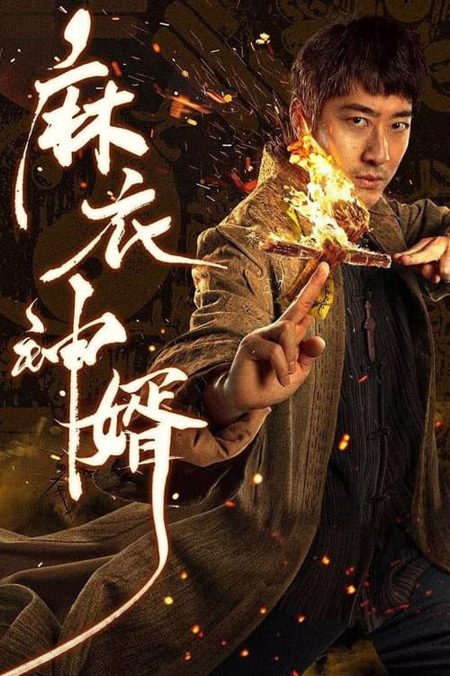 麻衣神婿 afişi