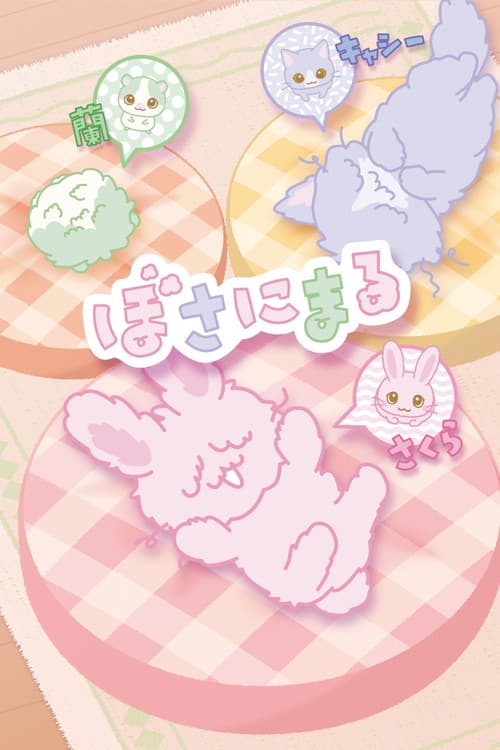 ぼさにまる afişi