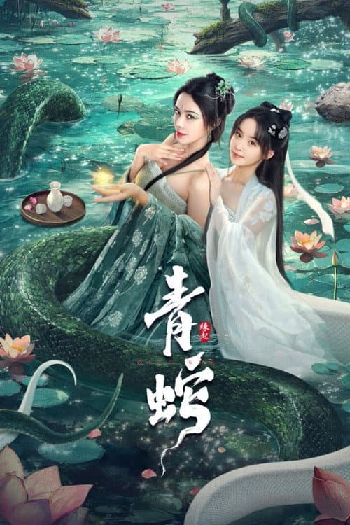 青蛇缘起 afişi