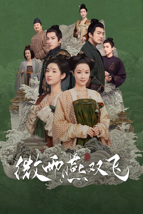 微雨燕双飞 afişi