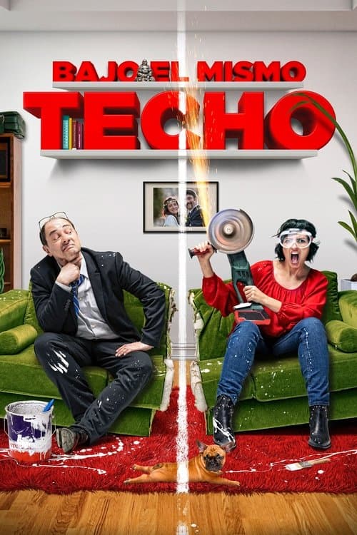 Bajo el mismo techo afişi