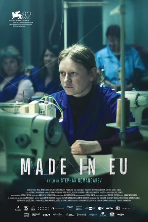 Made in EU afişi