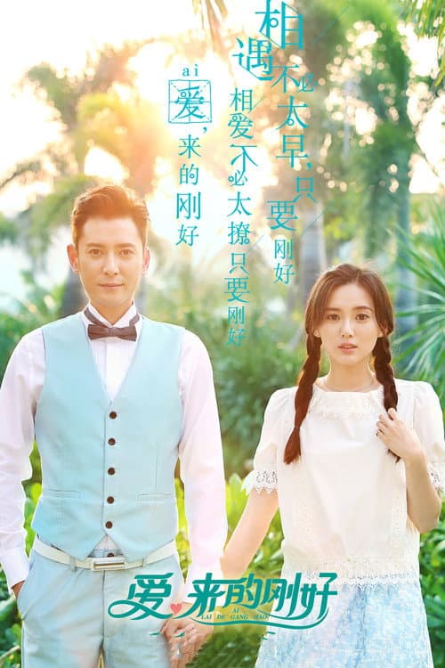 爱，来的刚好 afişi