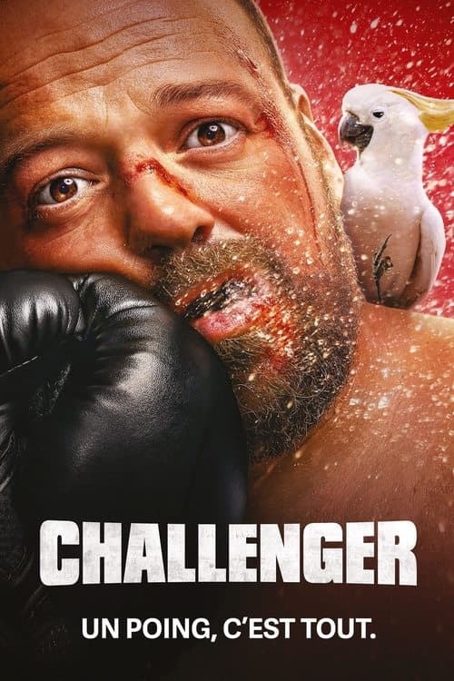 Challenger afişi