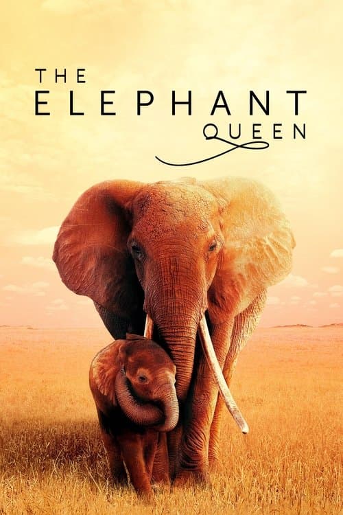 The Elephant Queen afişi