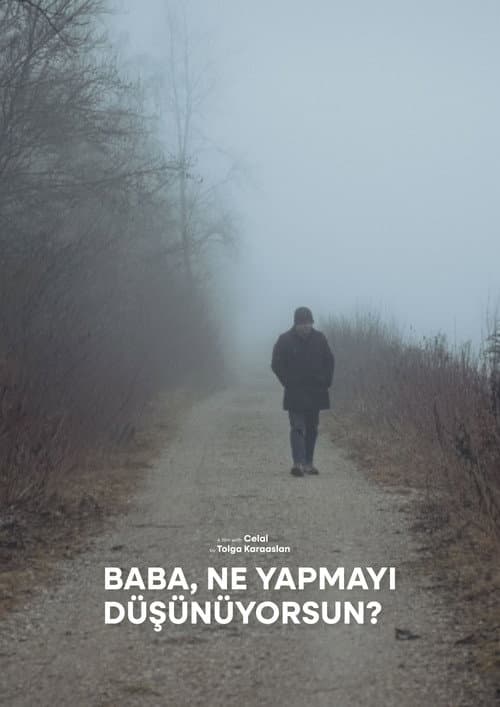 Baba, Ne Yapmayı Düşünüyorsun? afişi