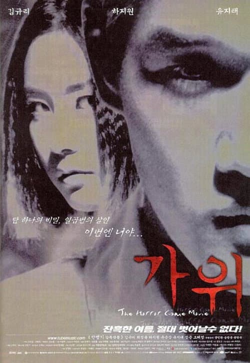 가위 afişi