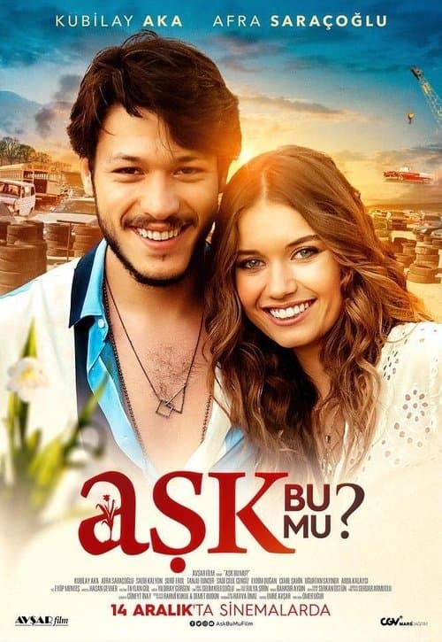 Aşk Bu Mu? afişi