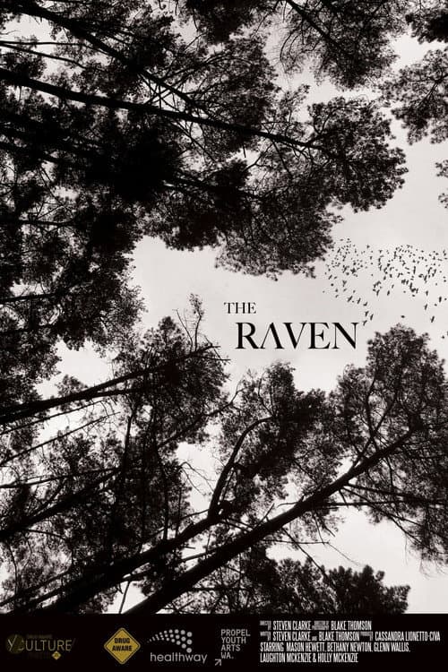 The Raven afişi
